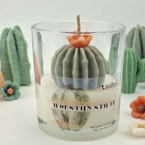 sojawas geurkaars met cactus detail